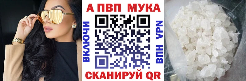 Альфа ПВП СК КРИС  Тырныауз 