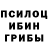 Галлюциногенные грибы Psilocybe emely ri