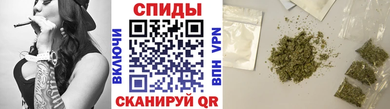 darknet формула  Тырныауз  Бутират буратино 