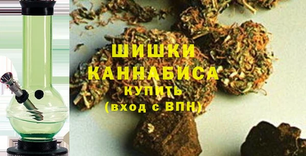 PSILOCYBIN Балахна