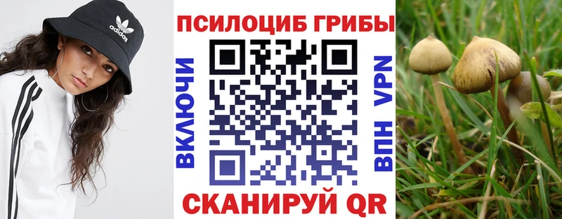 Псилоцибиновые грибы ЛСД  Тырныауз 