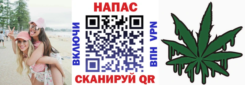 кракен сайт  Тырныауз  Каннабис OG Kush  наркотики 